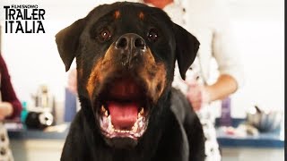 SHOW DOGS - ENTRIAMO IN SCENA | Trailer Italiano del film con Will Arnett