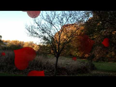 Kabhi Kabhi Mere Dil Mein(Dreamy Song)