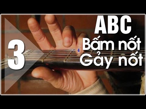 Học đàn Guitar ABC | Hướng dẫn bắt đầu (P3) | các nốt trên đàn guitar