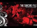 2003 Video preview