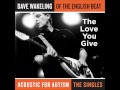 Dave Wakeling of the English Beat "The Love You Give"