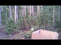 Bigfoot Sightings / Utah