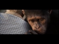 Caesar S Story Caesar S Story