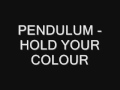 pendulum - hold your colour