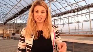 Gardening With Deb Live - Jan 5 2018