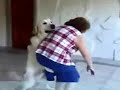pies wita pania bardzo nietypowo