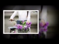 Mùa xuân làng lúa làng hoa - Thiên Nhâm
