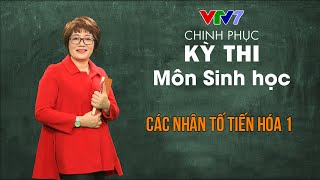 Học thuyết tiến hóa | Chinh phục kỳ thi THPTQG môn Sinh học