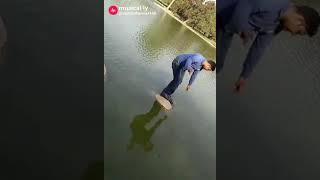 Funny videos