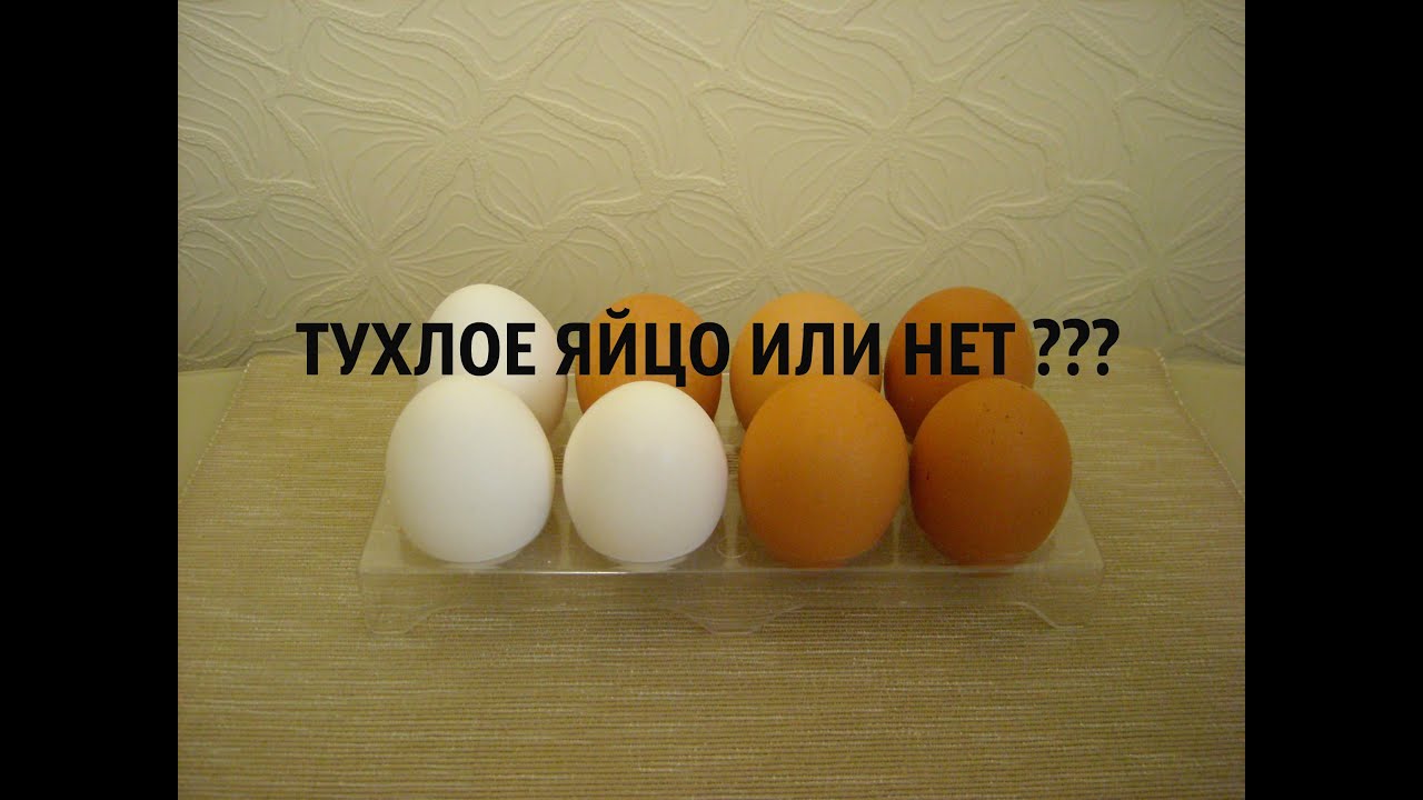 Узнай порчу по яйцам! Всё самое интересное! Узнай порчу по яйцам! Всё самое интересное!