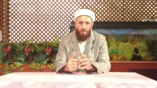 Hayvanla Ilişkiye Girmeye Izin Var Mı ?