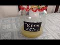 Kefir de água como turbinar o crescimento do seu kefir de água