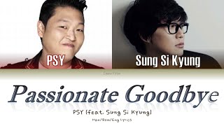 Watch Psy Passionate Goodbye video