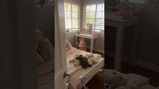 I Have Had My Room For 4 Months