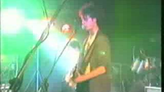 Watch Half Man Half Biscuit Carry On Cremating video