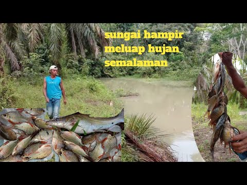 Fishing in the river after heavy rain overnight
