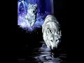 The Voice Of The Night: The Wolf - Friday the 13th ecards - Events Greeting Cards