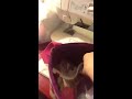 Chelsea's room/and Chelsea's dog video
