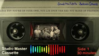 Shoot the Future - just the song