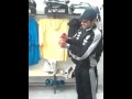 battipagliese calcio ,spogliatoio.avi