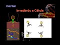 biologia: vírus   parte 02  prof  toid 
