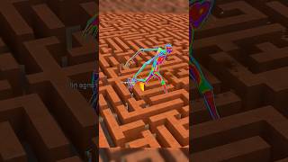 Silent Maze Can You Escape The Deadly Labyrinth?
