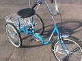 Desoto Classic Adult Tricycle