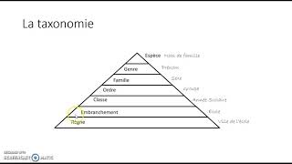 Thème 26- Taxonomie