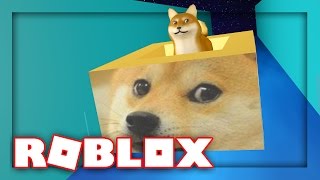 DOGE INSIDE OF A DOGE! | Roblox Ride a Box Down Stuff w/ MicroGuardian!