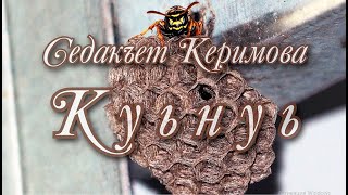 Куьнуь. Повесть. Седакъет Керимова. Аудиоктаб. Кlелзавайди Автор Я.