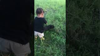 White Socks - Learning To Fetch With Rj