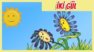 İki Gül Nağılı Nagillar