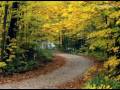 GIOVANNI MARRADI - Autumn Wind - Autumn & Fall ecards - Seasons Greeting Cards GIOVANNI MARRADI - Autumn Wind - Autumn & Fall ecards - Seasons Greeting Cards
