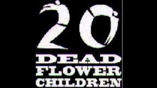 Watch 20 Dead Flower Children Greet The Machine video