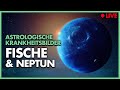 Astrologische Krankheitsbilder und deren Deutung - Fische/Neptun mit Thomas Georgiew