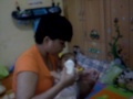 Noel Rewel Mau Nenen images Noel Rewel Mau Nenen