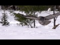 yosemite