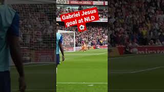 Gabriel Jesus Goal Vs Tottenham