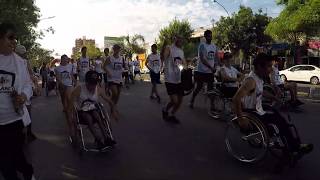 Perrando Corre - Servicio De Rehabilitación Y Paier