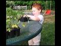 Gordie, excited about planting his tomatoes