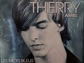 Thierry Amiel - Les mots bleus