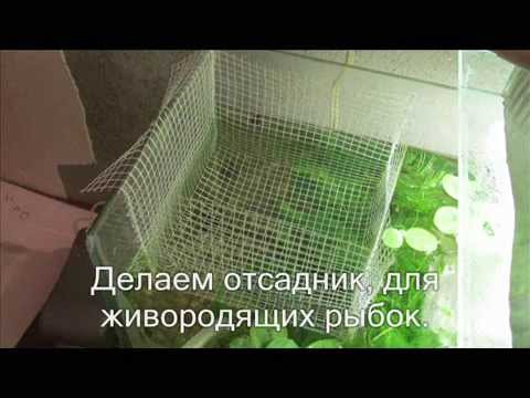 Сетка для мальков своими руками Сетка для мальков своими руками