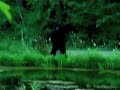 WORLD'S MOST SHOCKING BIGFOOT VIDEOS # 4