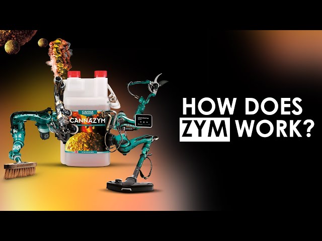 Watch CANNAZYM - How does it work? on YouTube.