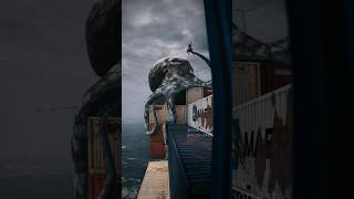 Thalophobic Pov 02 - Kraken Or Giant Octopus?