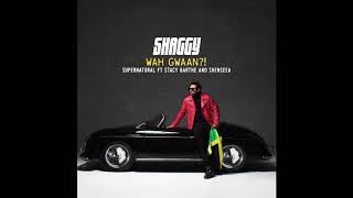 Watch Shaggy Supernatural feat Stacy Barthe And Shenseea video
