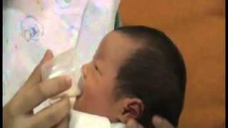 カップ授乳　カップフィーディング　コップ授乳