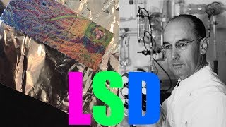 Lsd