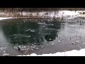 Видео Winter park in Simferopol
