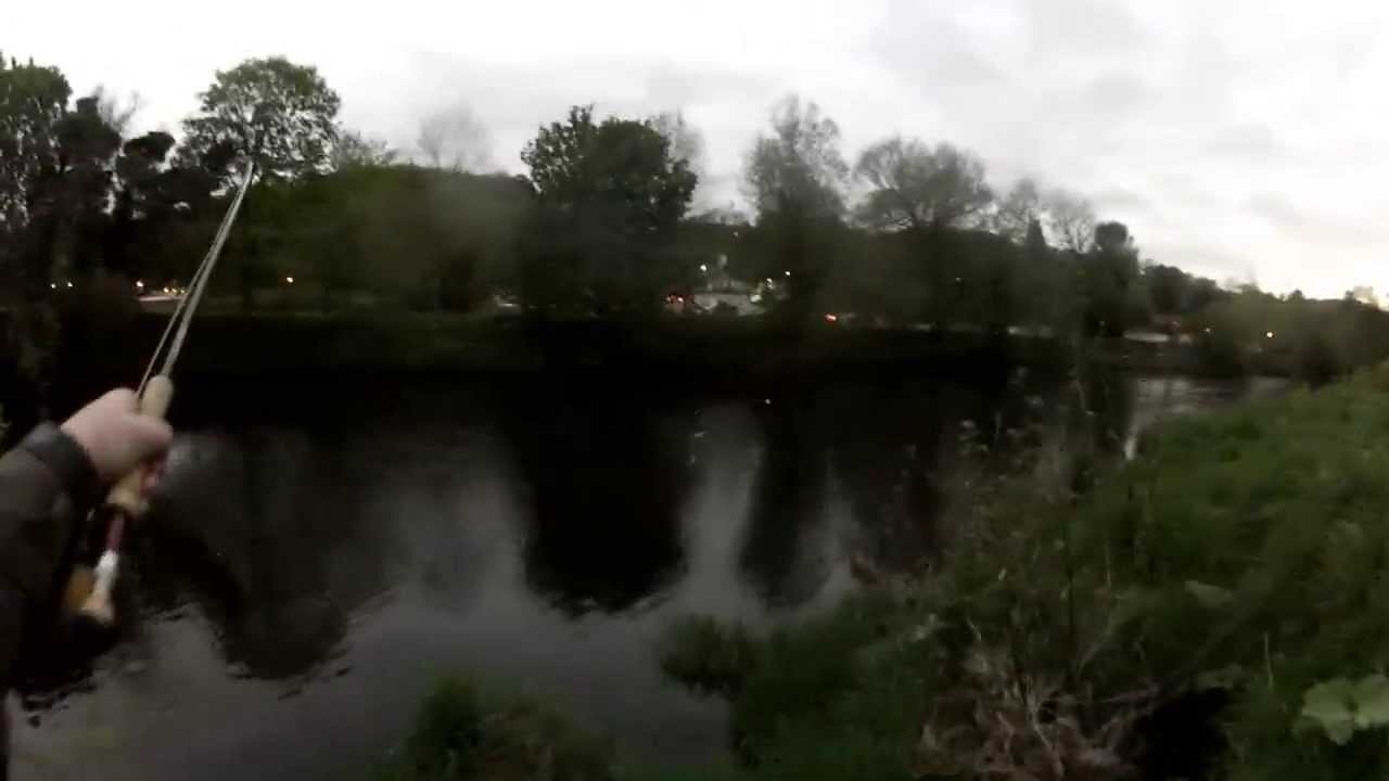 River Clyde Fishing Clyde Brown Trout YouTube